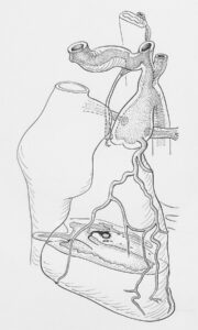 Photo by Europeana on Unsplash