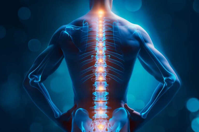 Practitioner explaining a spine model to an adult patient before a manual therapy assessment.
